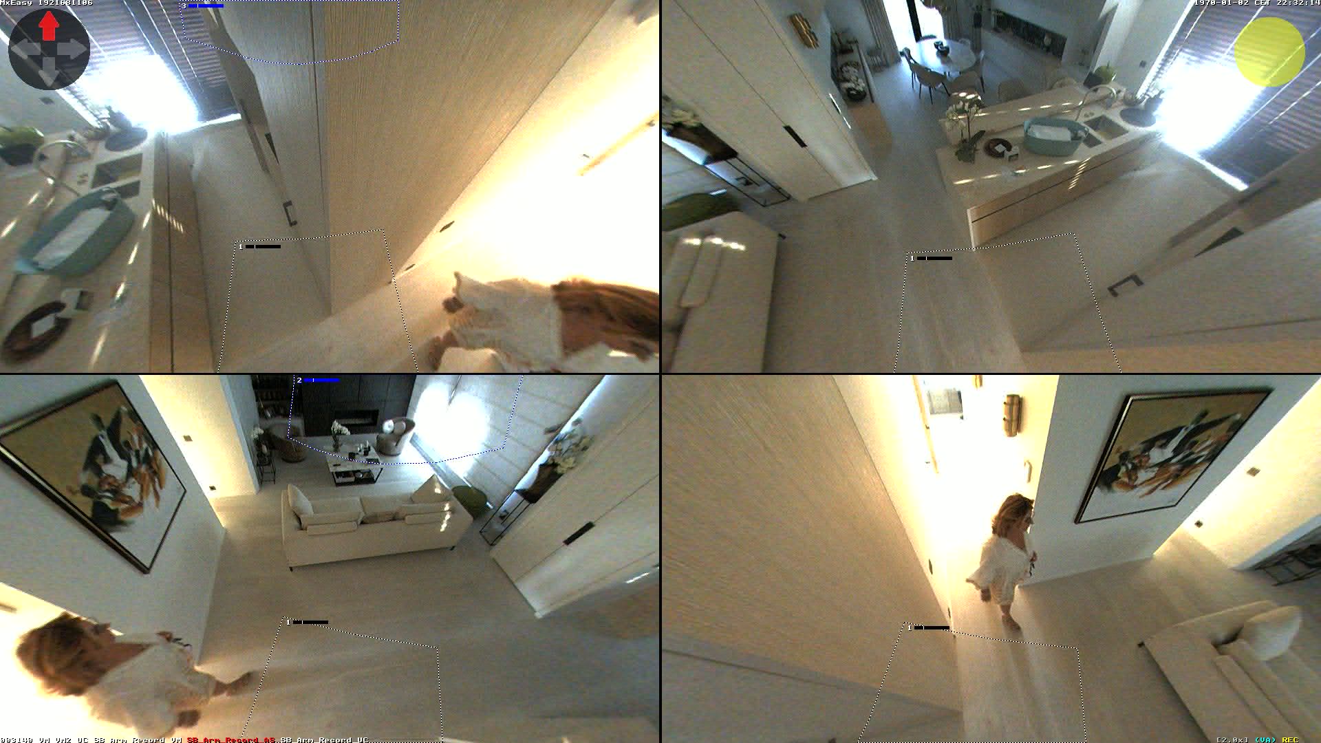 Camera localcam:Last Event Image
